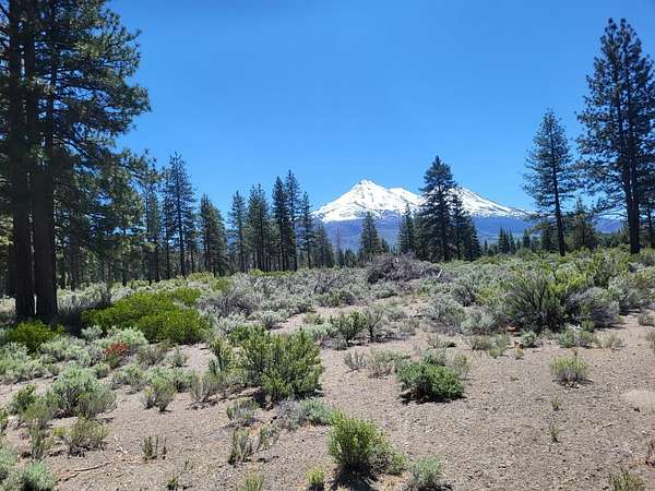 11 Acres of Land for Sale in Montague, California