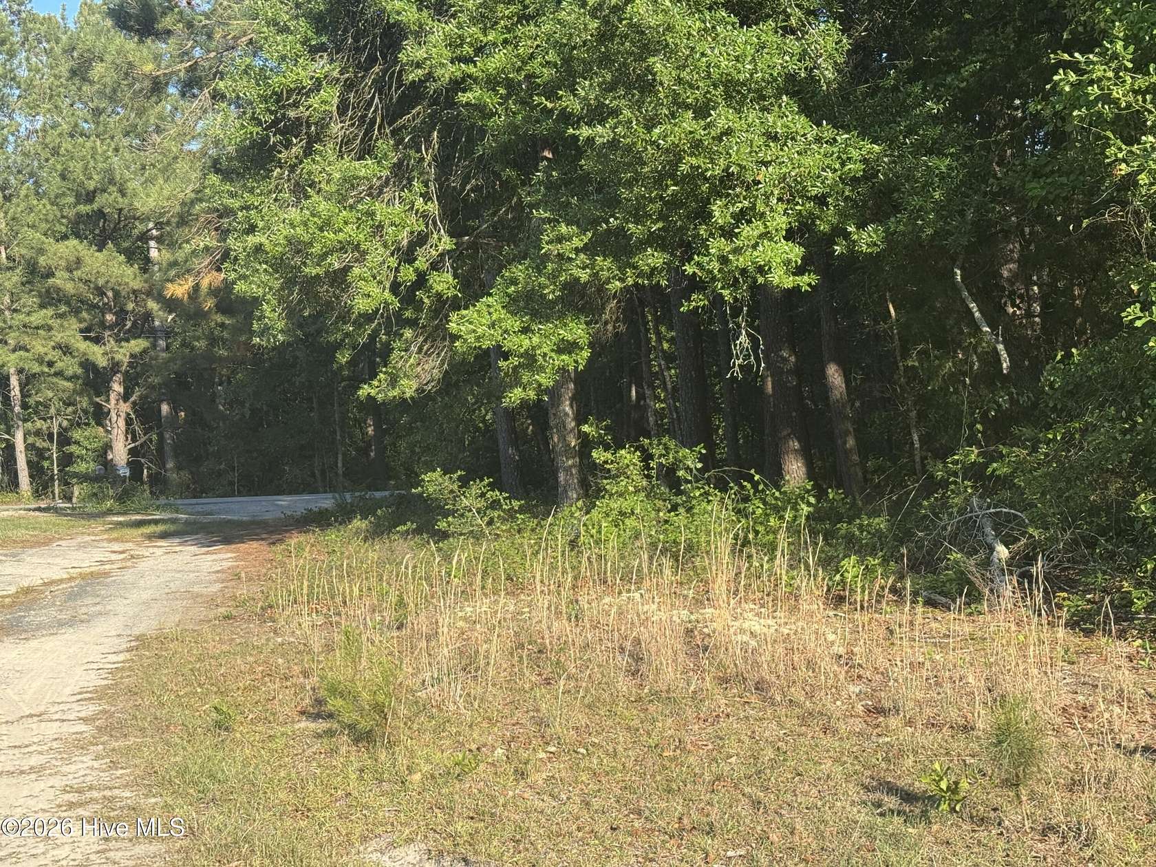 5 Acres of Land for Sale in Hamlet, North Carolina
