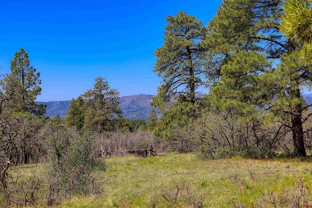 35.1 Acres of Land for Sale in Pagosa Springs, Colorado