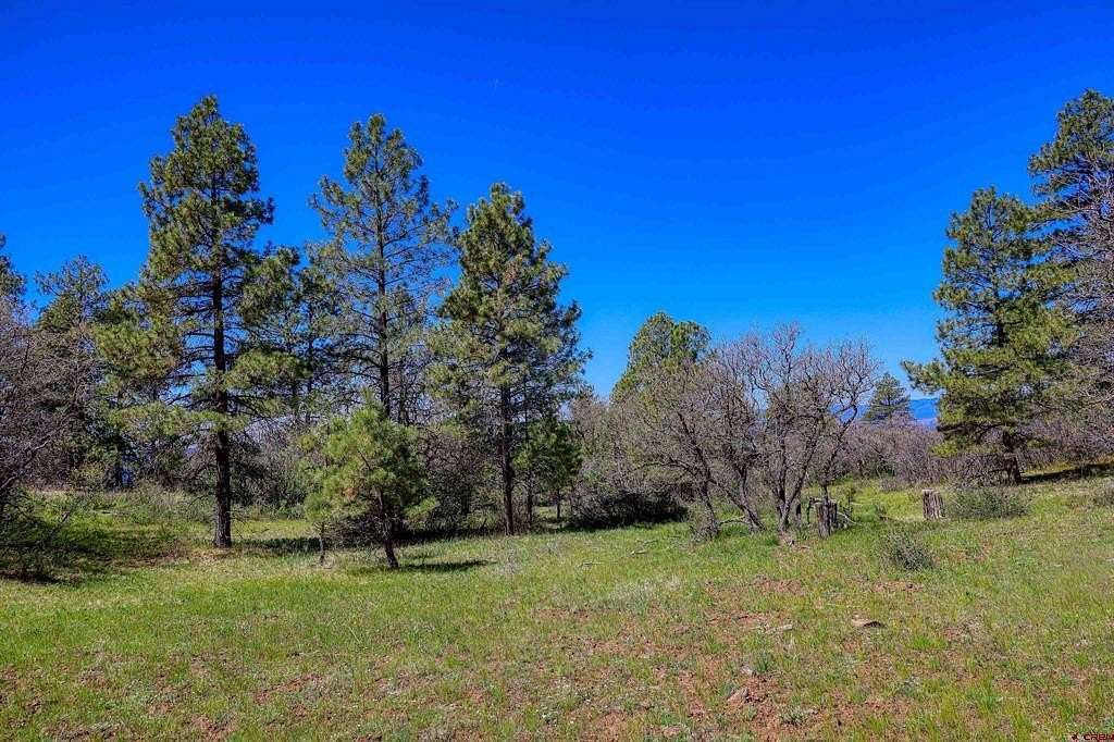 35.1 Acres of Recreational & Residential Land for Sale in Pagosa Springs, Colorado