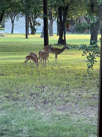 6.55 Acres of Land with Home for Sale in Clifton, Texas