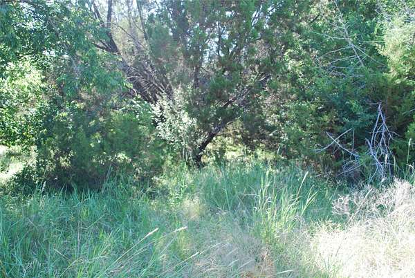 0.26 Acres of Residential Land for Sale in Whitney, Texas