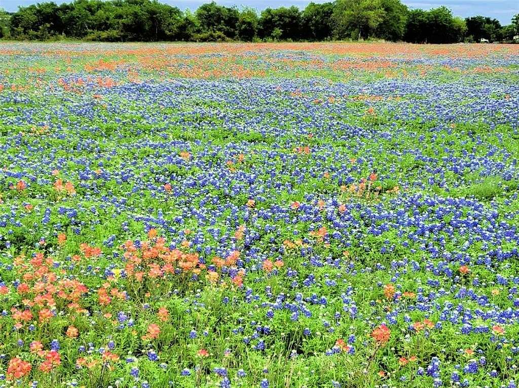 10 Acres of Agricultural Land for Sale in Hillsboro, Texas