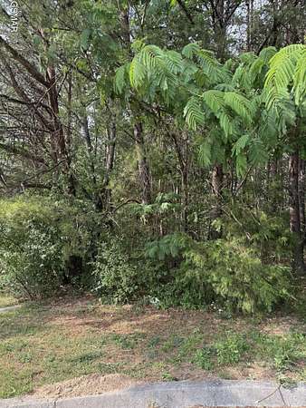 0.48 Acres of Residential Land for Sale in Pigeon Forge, Tennessee