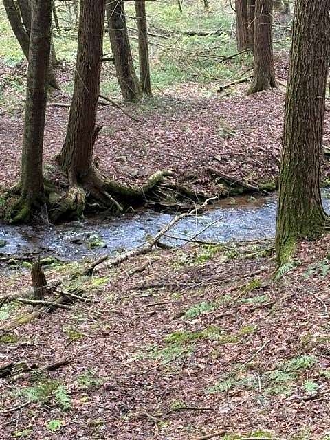 75 Acres of Recreational Land for Sale in Galeton, Pennsylvania