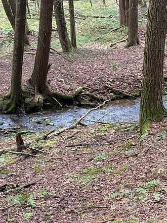 75 Acres of Recreational Land for Sale in Galeton, Pennsylvania