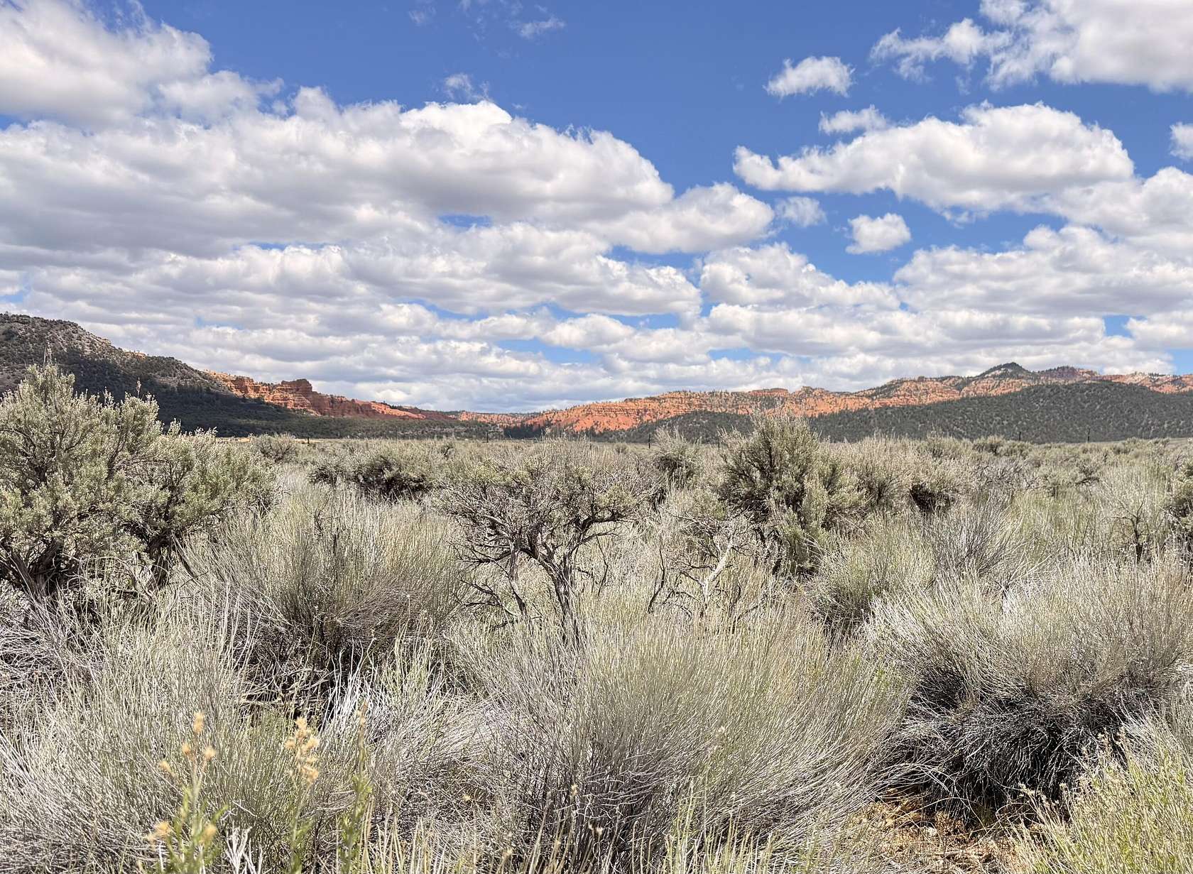 0.44 Acres of Land for Sale in Panguitch, Utah