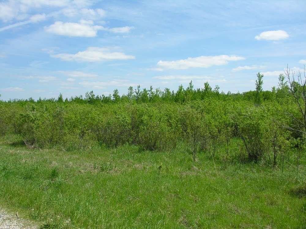 40 Acres of Recreational Land for Sale in Rose Creek, Minnesota