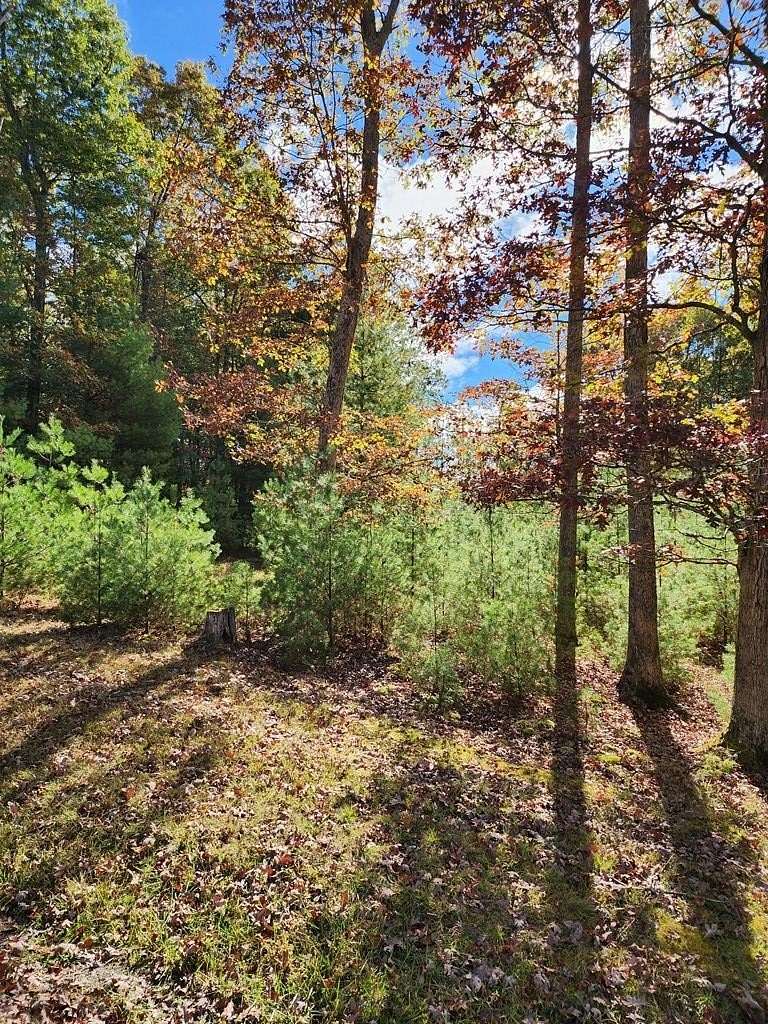 0.27 Acres of Land for Sale in Daniels, West Virginia
