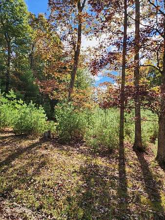 0.27 Acres of Land for Sale in Daniels, West Virginia