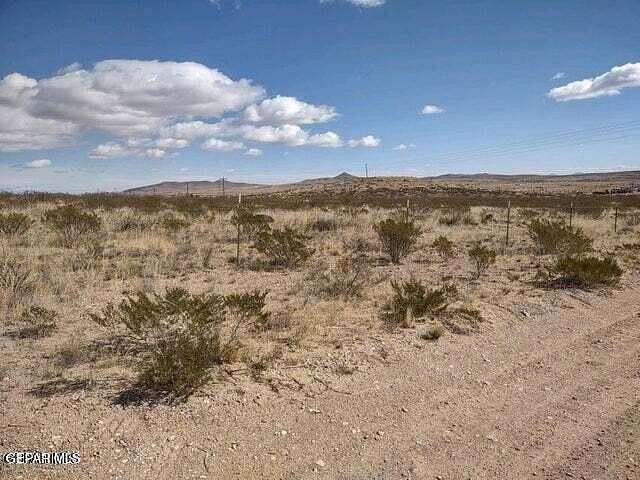 40.4 Acres of Land for Sale in Fort Hancock, Texas