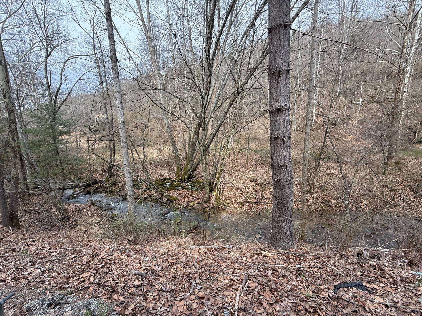 0.32 Acres of Residential Land for Sale in Sutton, West Virginia