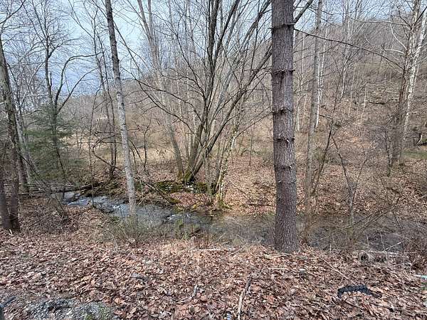 0.32 Acres of Residential Land for Sale in Sutton, West Virginia