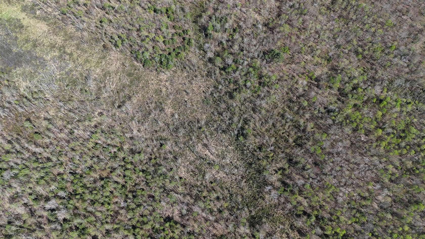 119 Acres of Recreational & Residential Land for Sale in Arundel, Maine
