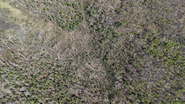 119 Acres of Recreational & Residential Land for Sale in Arundel, Maine