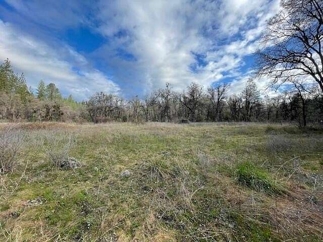 160 Acres of Recreational Land for Sale in Oak Run, California