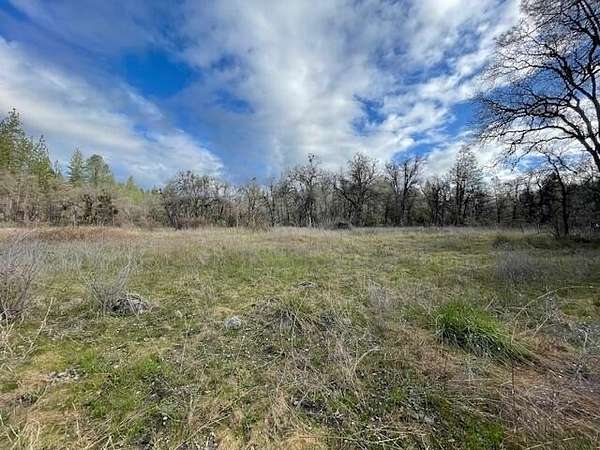 160 Acres of Recreational Land for Sale in Oak Run, California