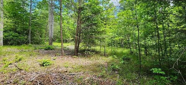 2.18 Acres of Residential Land for Sale in Spencer, Tennessee