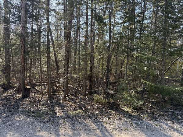 0.24 Acres of Land for Sale in Cheboygan, Michigan