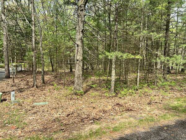 0.32 Acres of Residential Land for Sale in Pentwater, Michigan
