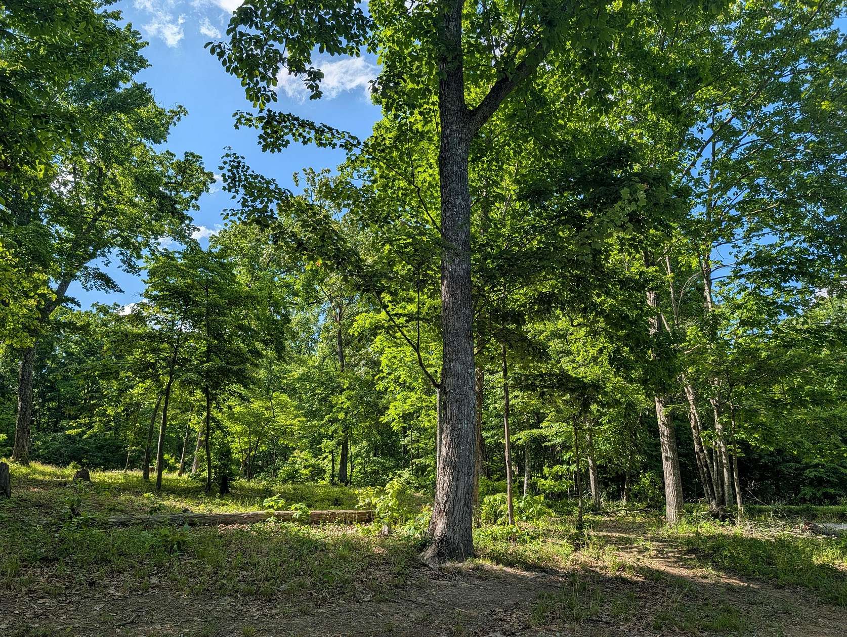 0.75 Acres of Residential Land for Sale in Spring City, Tennessee