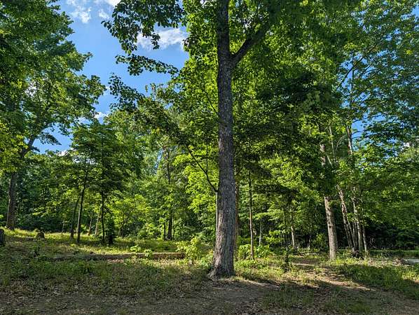 0.75 Acres of Residential Land for Sale in Spring City, Tennessee