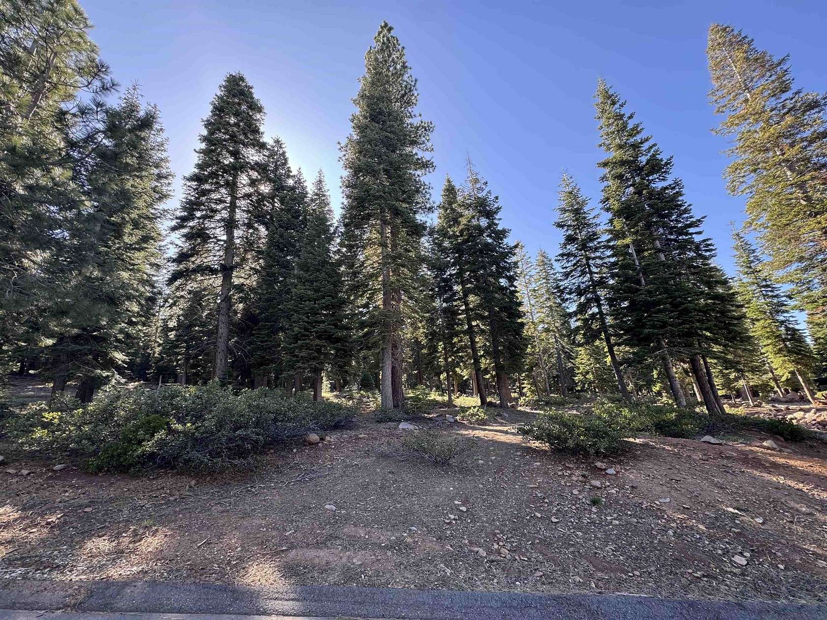 1 Acre of Residential Land for Sale in Truckee, California