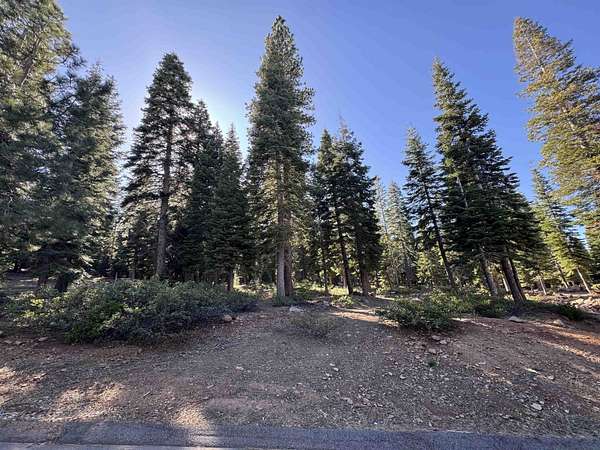 1 Acre of Residential Land for Sale in Truckee, California