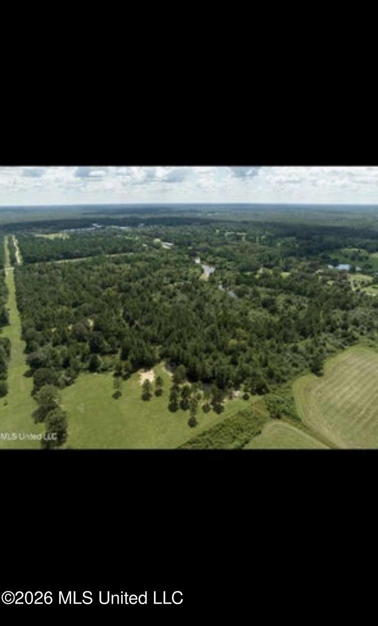 50 Acres of Recreational & Residential Land for Sale in Picayune, Mississippi