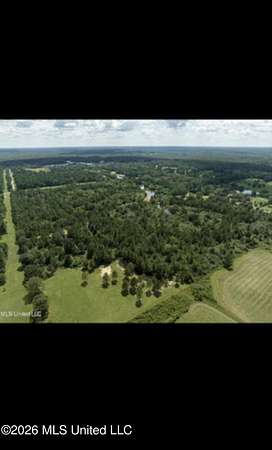 50 Acres of Recreational & Residential Land for Sale in Picayune, Mississippi