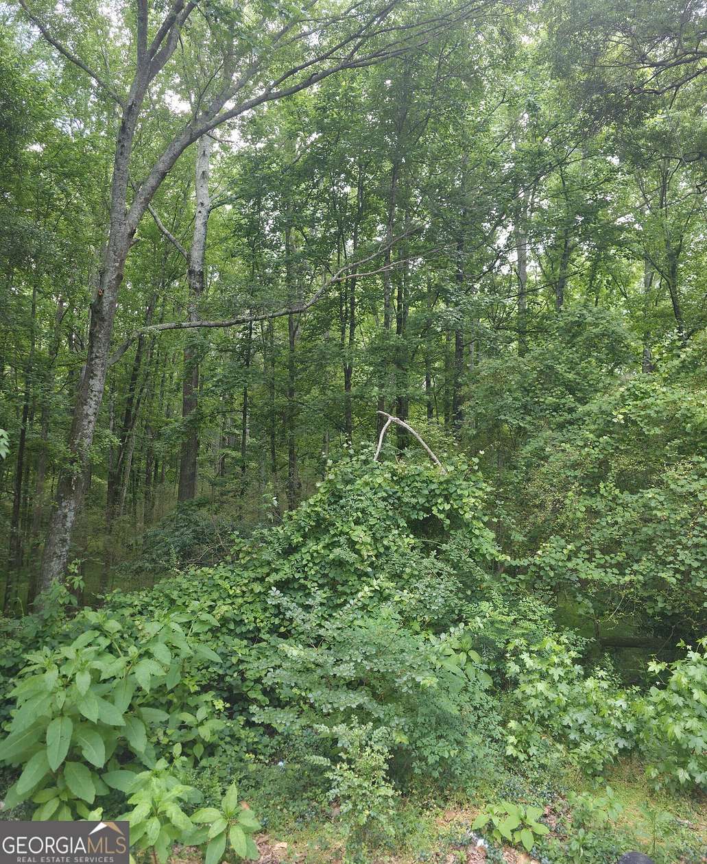 0.5 Acres of Residential Land for Sale in Winder, Georgia