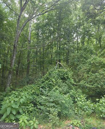 0.5 Acres of Residential Land for Sale in Winder, Georgia