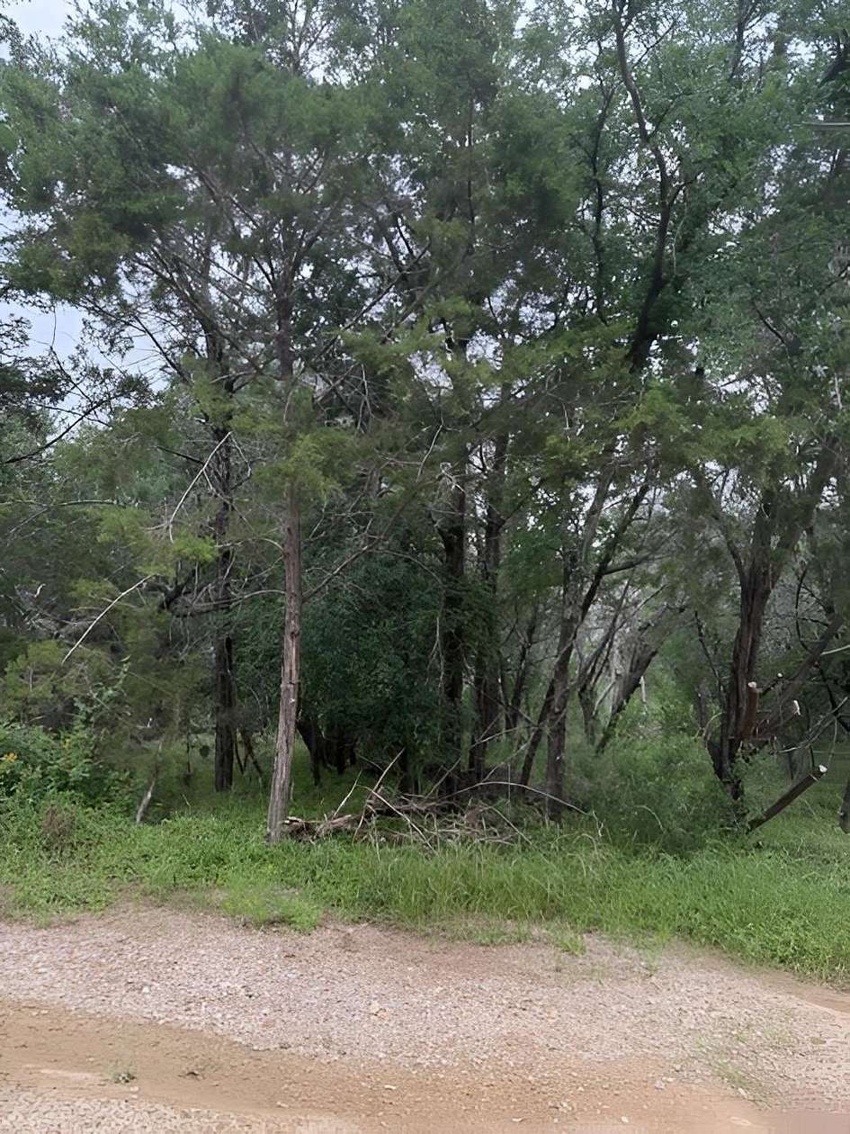 0.25 Acres of Residential Land for Sale in Burnet, Texas