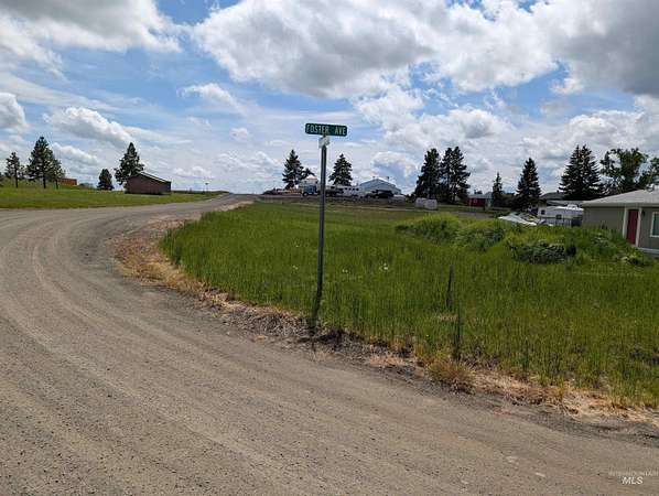 0.15 Acres of Land for Sale in Cottonwood, Idaho