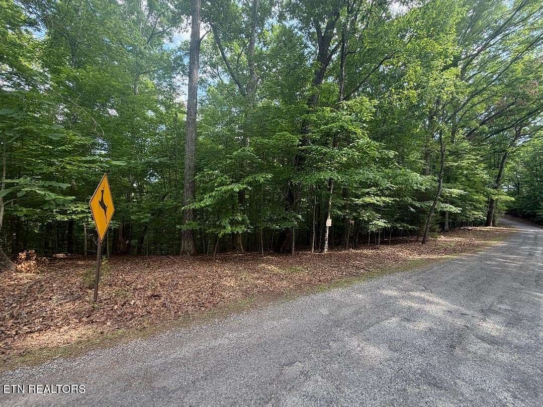 0.53 Acres of Residential Land for Sale in Dandridge, Tennessee