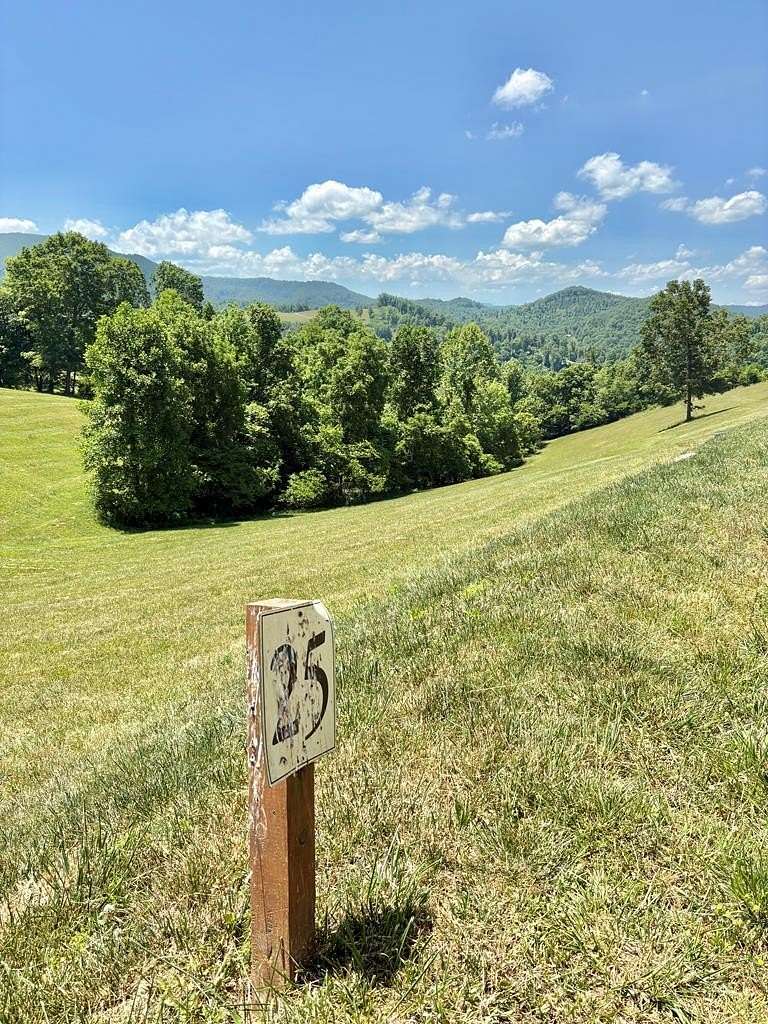 1 Acre of Residential Land for Sale in Butler, Tennessee