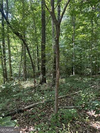 0.17 Acres of Residential Land for Sale in Lavonia, Georgia