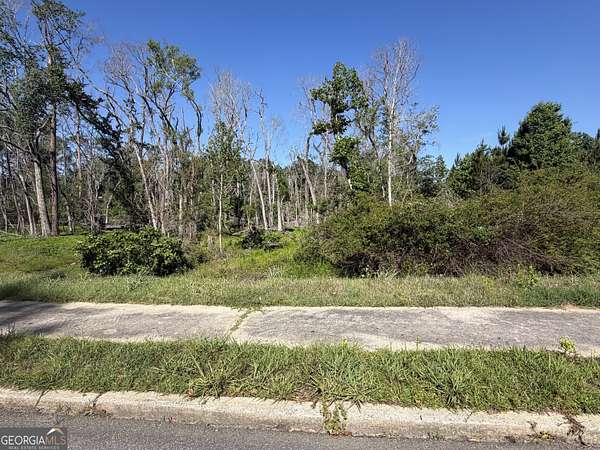 13.6 Acres of Land for Sale in Soperton, Georgia