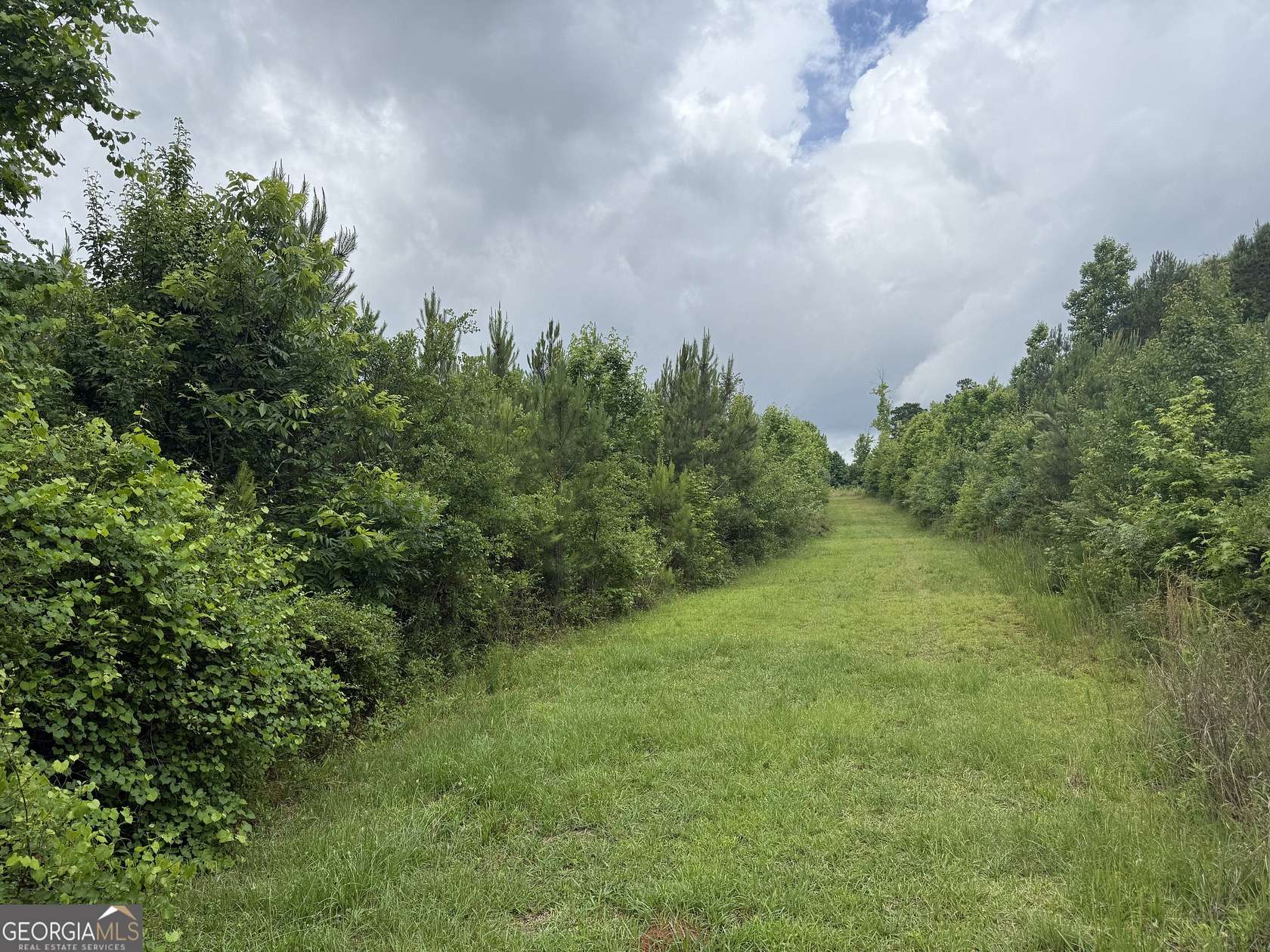 6.32 Acres of Residential Land for Sale in Jackson, Georgia