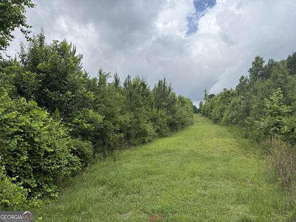 6.32 Acres of Residential Land for Sale in Jackson, Georgia