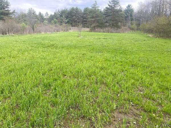 18 Acres of Recreational Land for Sale in Caneadea, New York