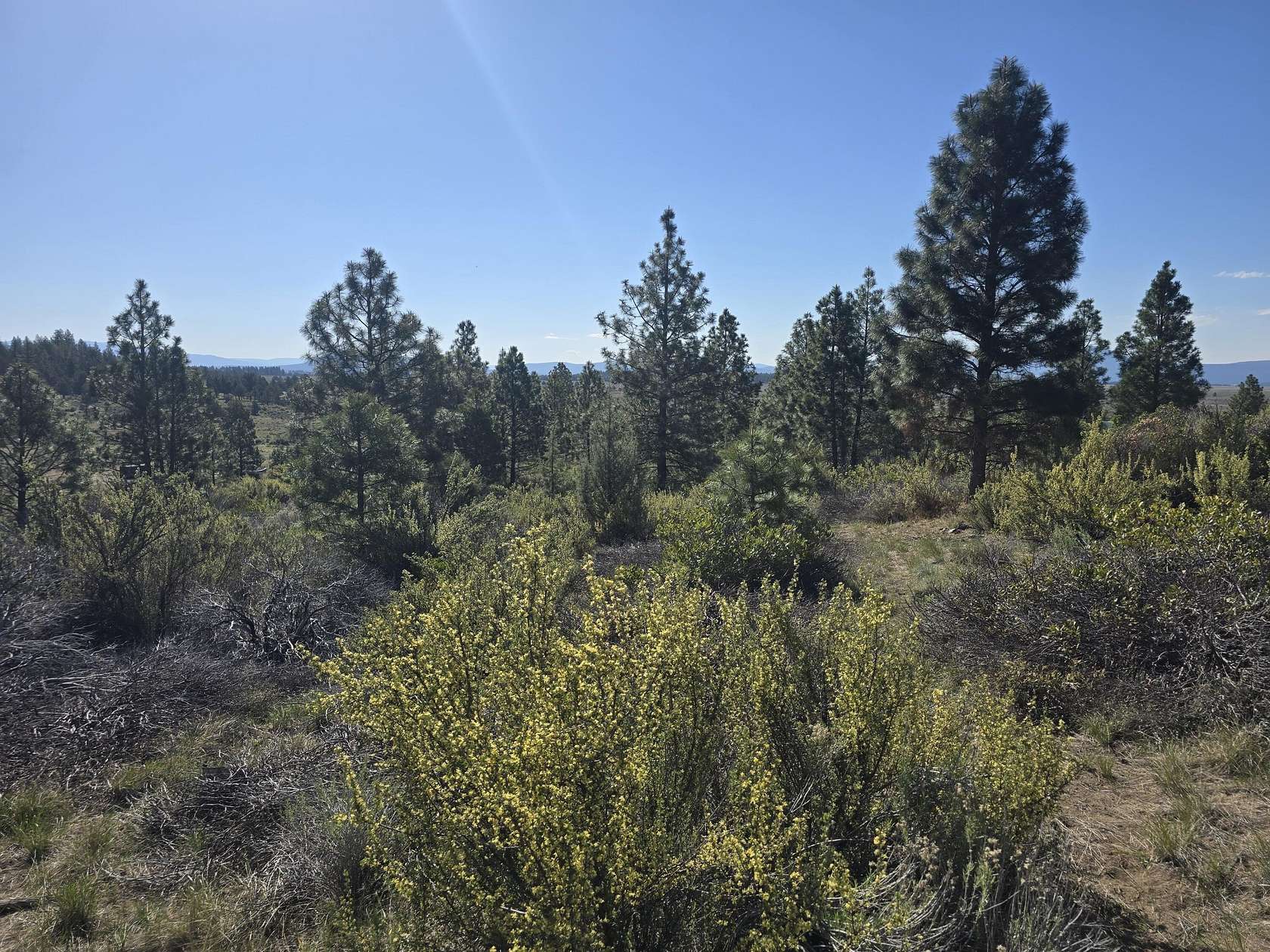 3.36 Acres of Residential Land for Sale in Sprague River, Oregon
