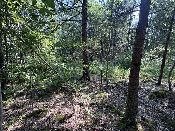 0.91 Acres of Land for Sale in Falmouth, Maine