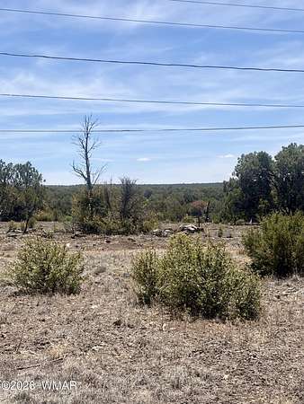0.46 Acres of Residential Land for Sale in Show Low, Arizona