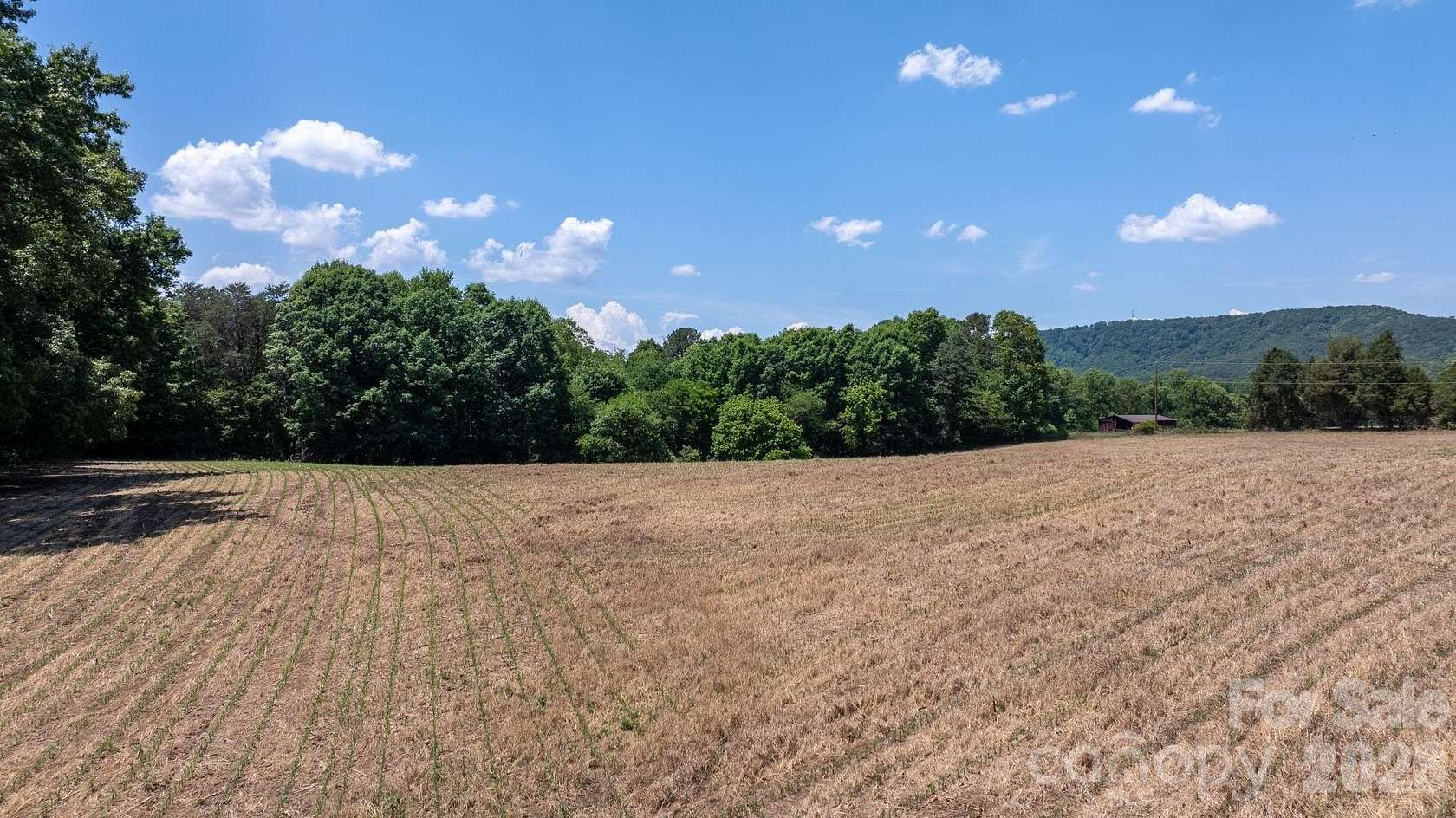 12.6 Acres of Land for Sale in Taylorsville, North Carolina