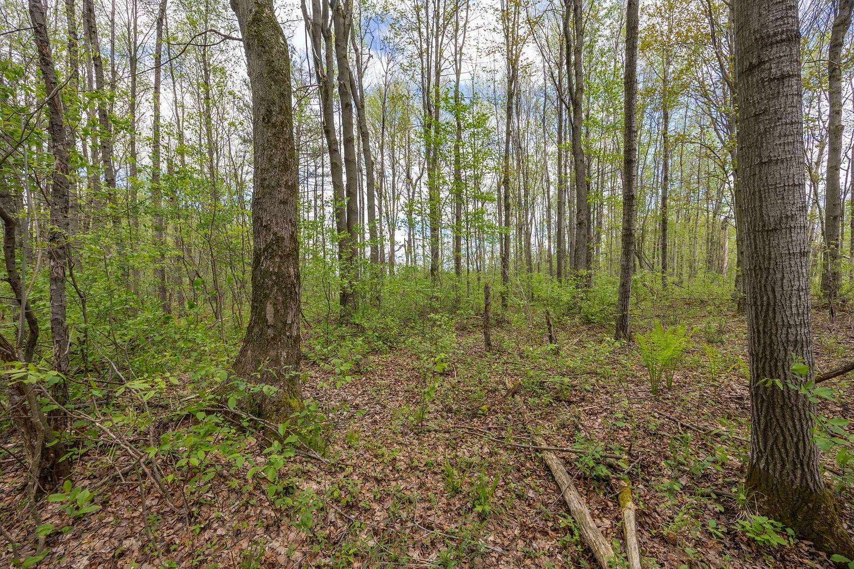 40 Acres of Recreational & Residential Land for Sale in Le Roy, Michigan