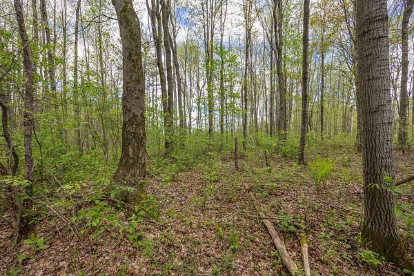 40 Acres of Recreational & Residential Land for Sale in Le Roy, Michigan