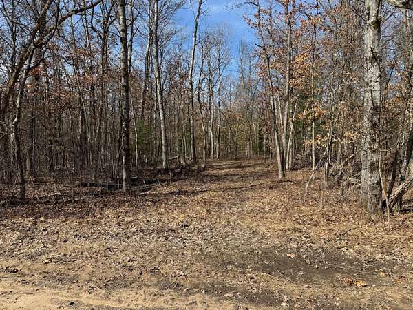 0.83 Acres of Residential Land for Sale in Wellston, Michigan
