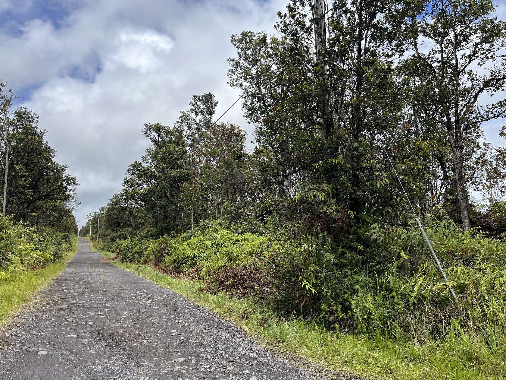 3 Acres of Residential Land for Sale in Volcano, Hawaii