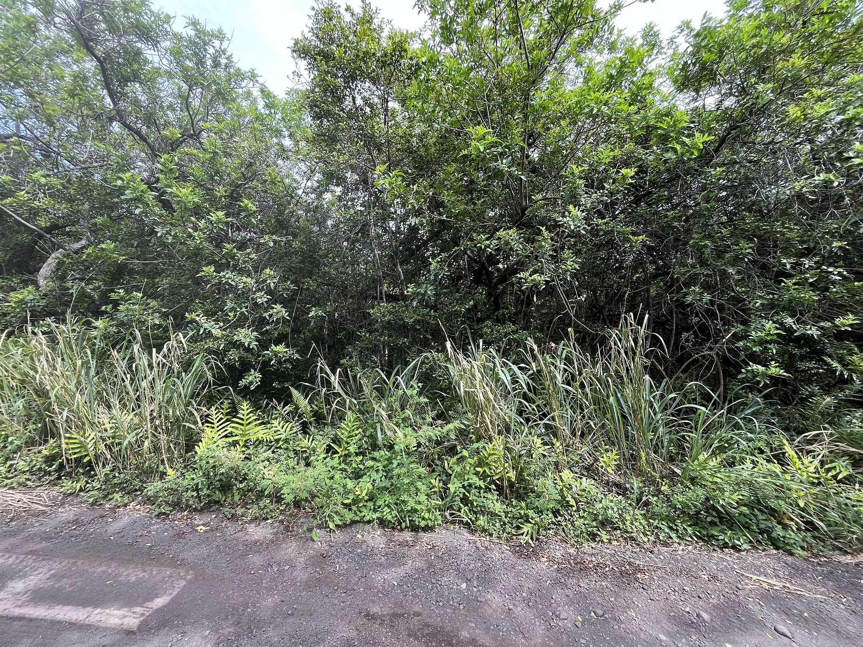 0.46 Acres of Residential Land for Sale in Nāʻālehu, Hawaii
